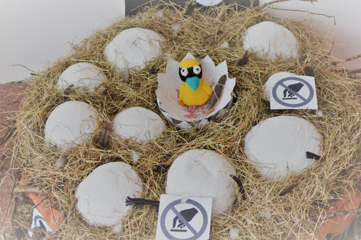 Jaarthema: Geluksvogels